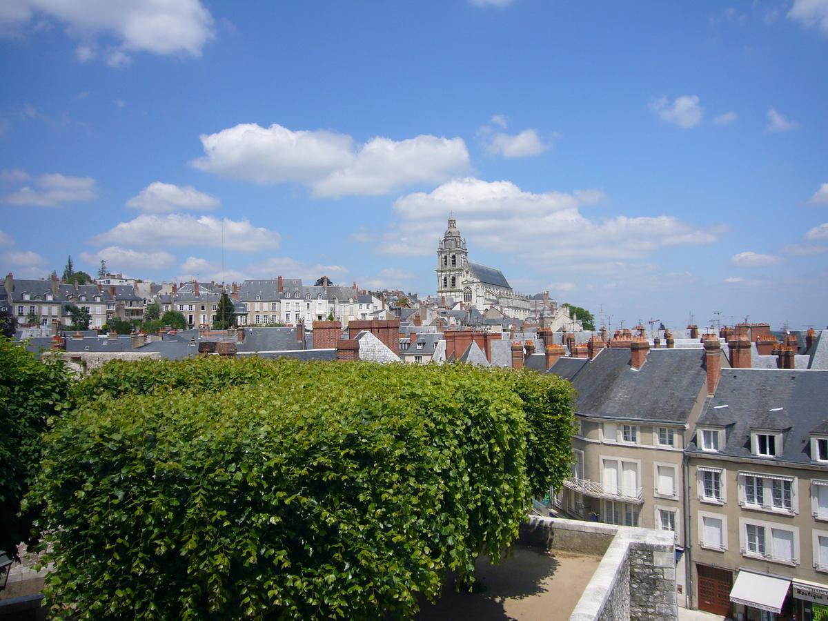 Ibis Blois Centre Chateau Hotel Exterior photo